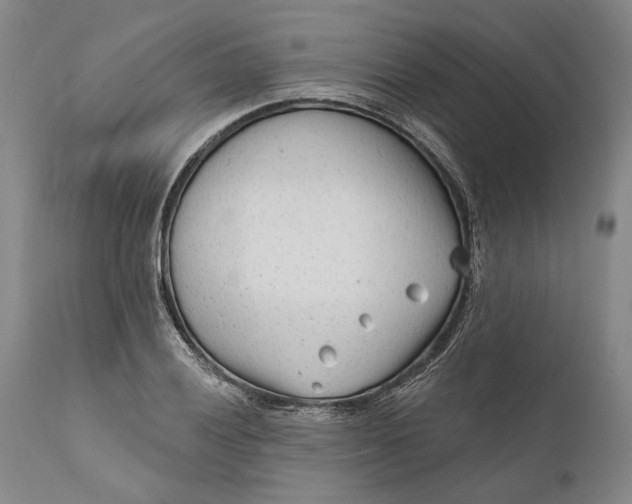 X0000111671028200908071452