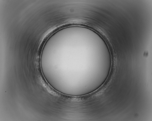 X0000111671029200908071452