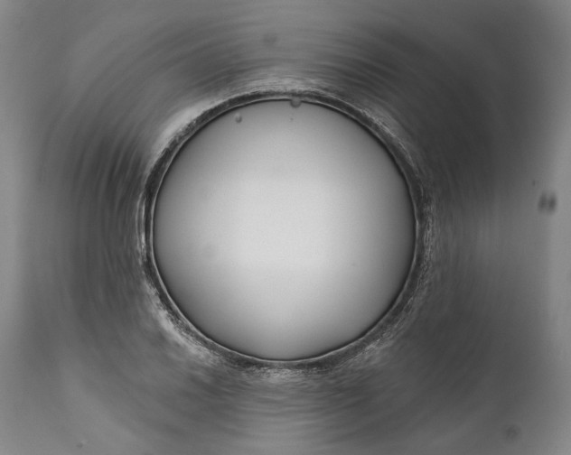 X0000111671030200908071452