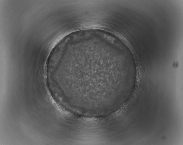 X0000111671031200908071452