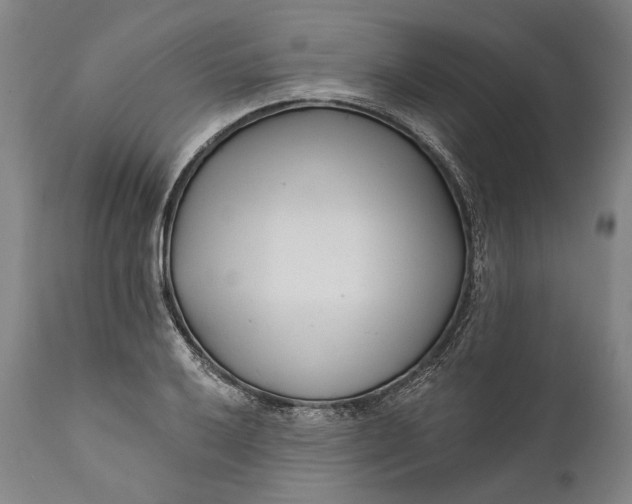 X0000111671032200908071452