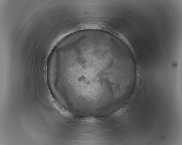 X0000111671035200908071452