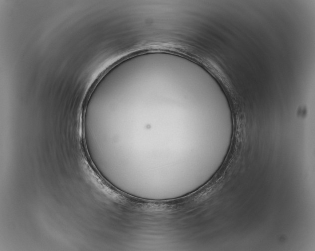 X0000111671036200908071452