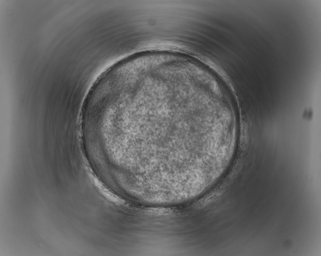 X0000111671037200908071452