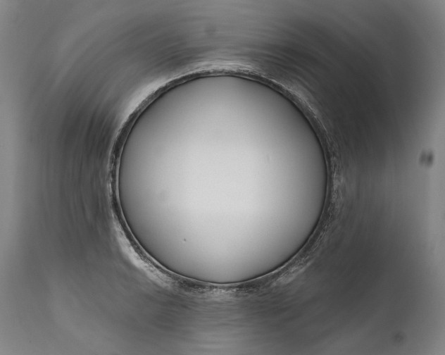 X0000111671038200908071452