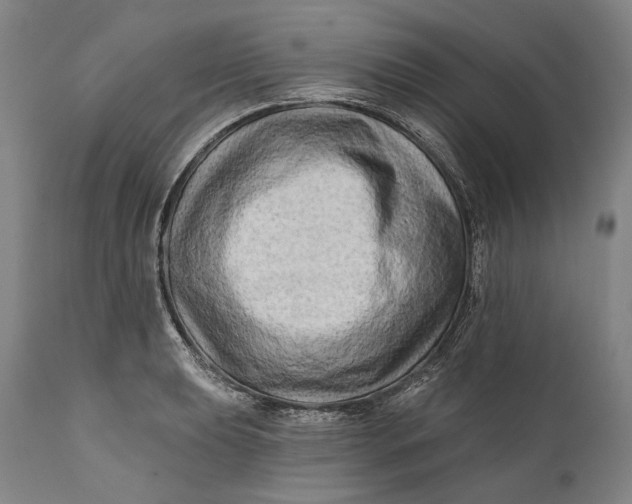 X0000111671039200908071452