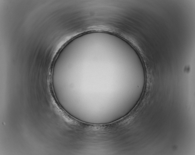 X0000111671040200908071452