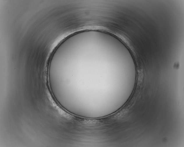 X0000111671046200908071453