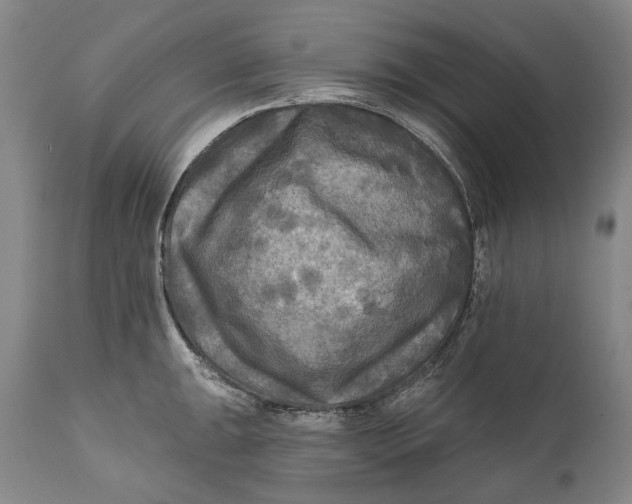 X0000111671047200908071453