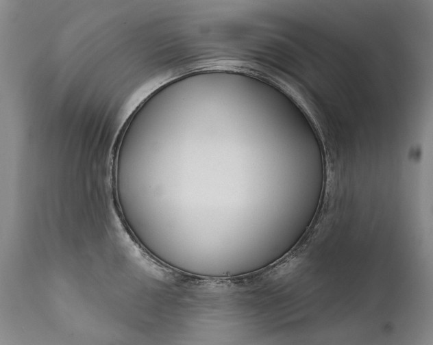 X0000111671050200908071453