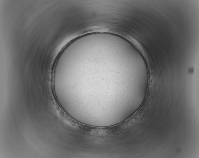 X0000111671051200908071453