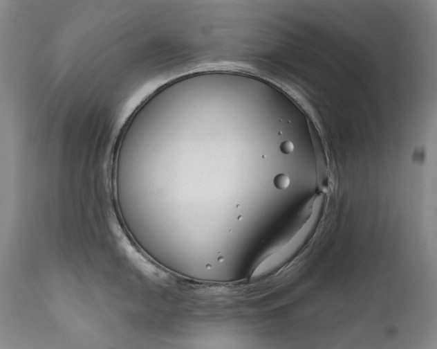 X0000111671054200908071453