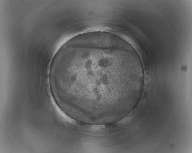 X0000111671055200908071453