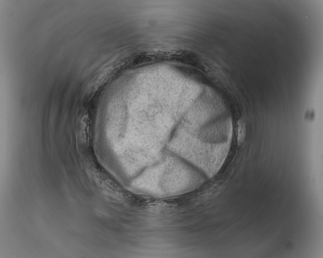 X0000111671059200908071452