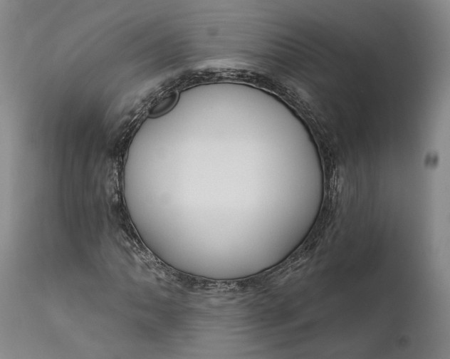 X0000111671062200908071452