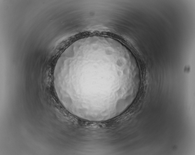 X0000111671063200908071452