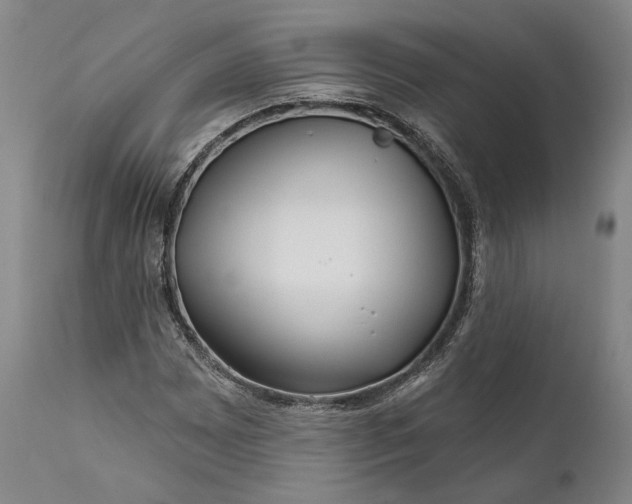 X0000111671065200908071452