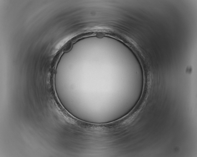 X0000111671066200908071452