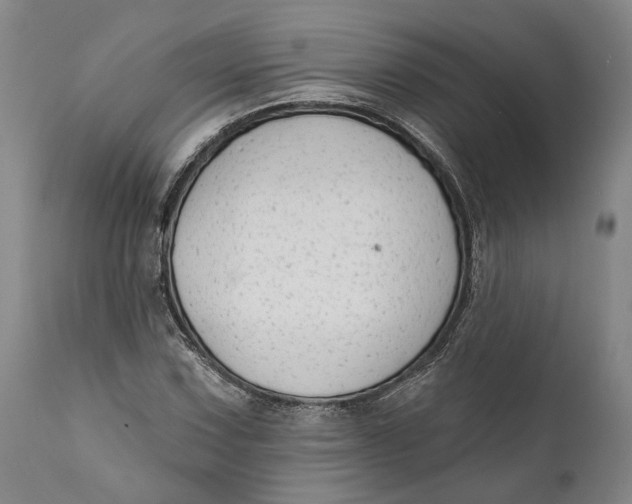 X0000111671067200908071452