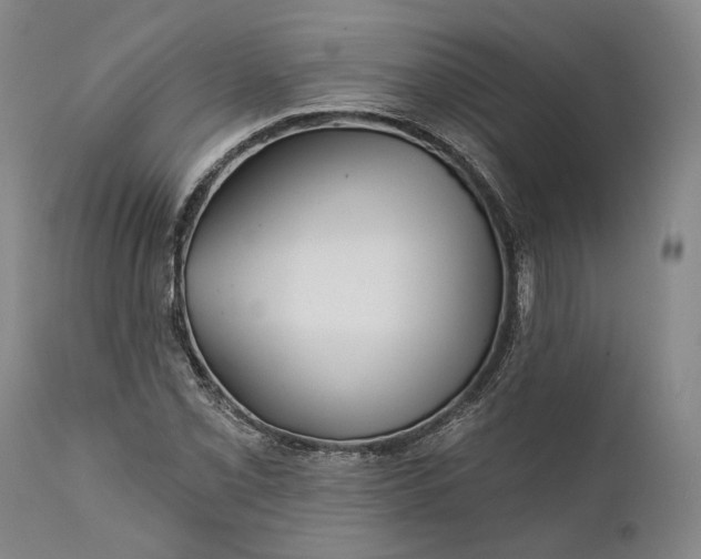 X0000111671069200908071452