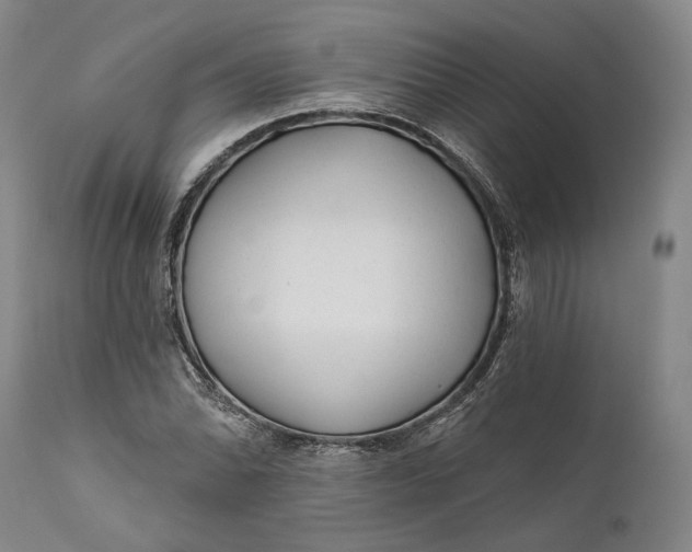 X0000111671070200908071452