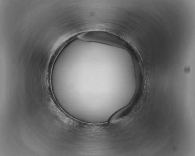 X0000111671072200908071452