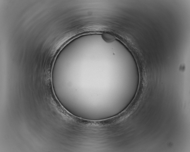 X0000111671073200908071452