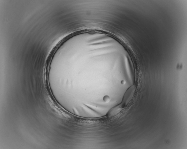 X0000111671076200908071452