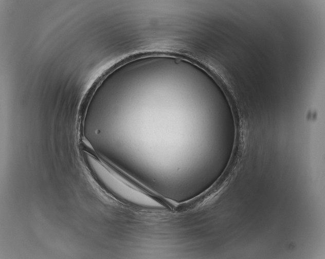 X0000111671077200908071452