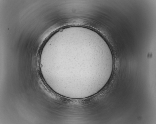 X0000111671078200908071452