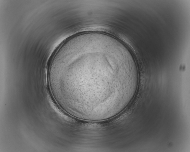 X0000111671079200908071452