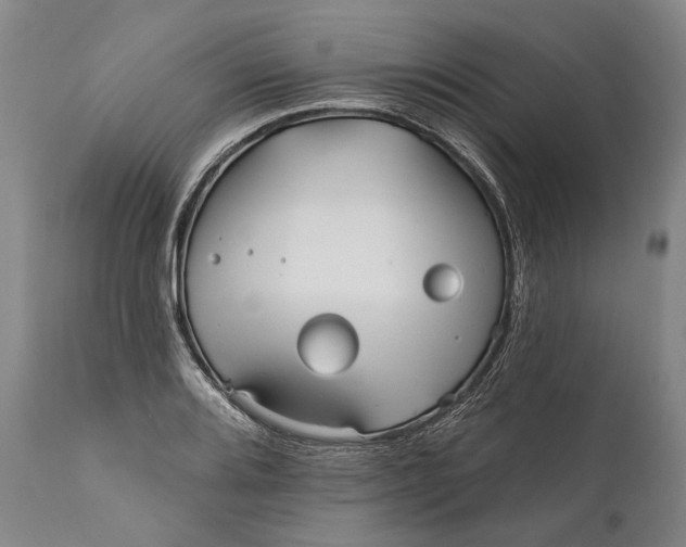 X0000111671080200908071452