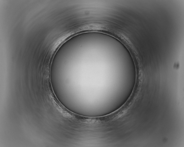 X0000111671081200908071452