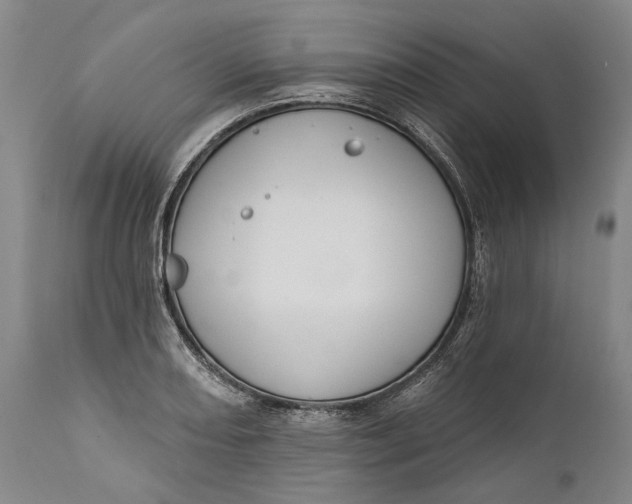 X0000111671082200908071452