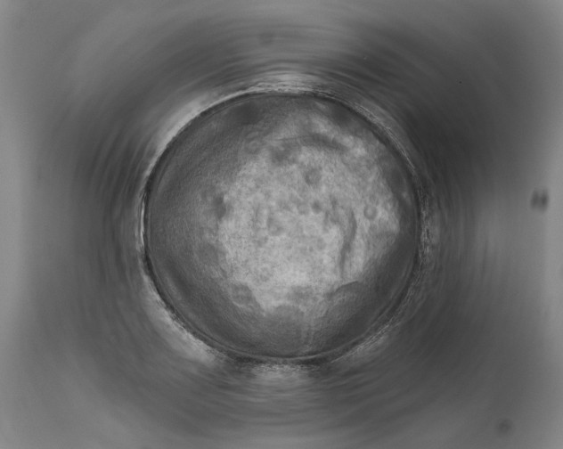 X0000111671083200908071452