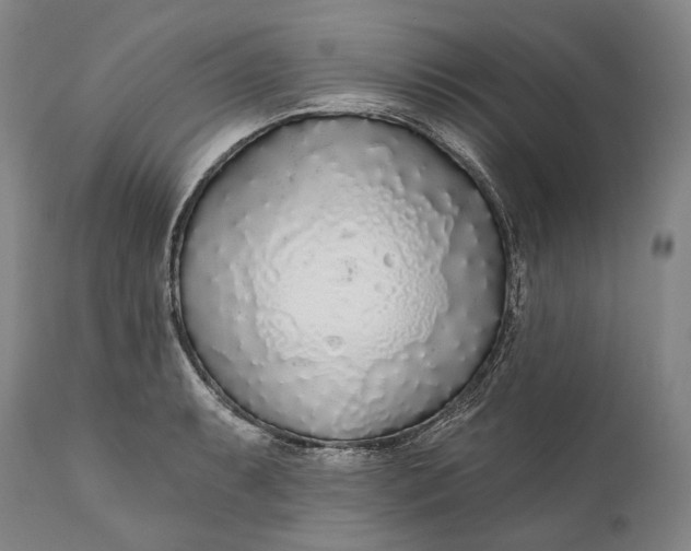 X0000111671087200908071452