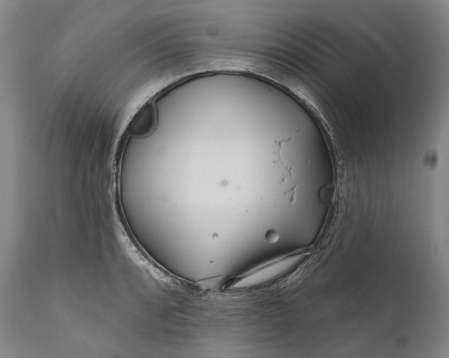 X0000111671088200908071452