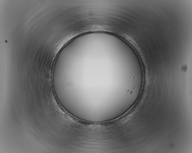 X0000111671089200908071452