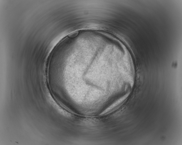 X0000111671091200908071451