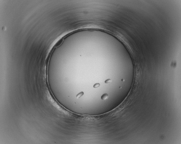 X0000111671092200908071451