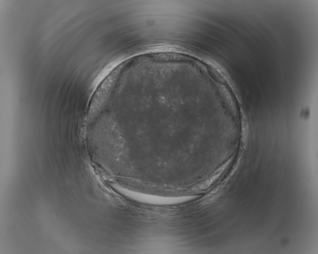 X0000111671097200908071451