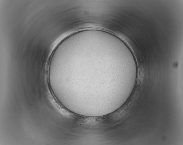 X0000111671098200908071451