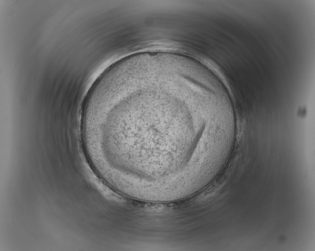 X0000111671099200908071451