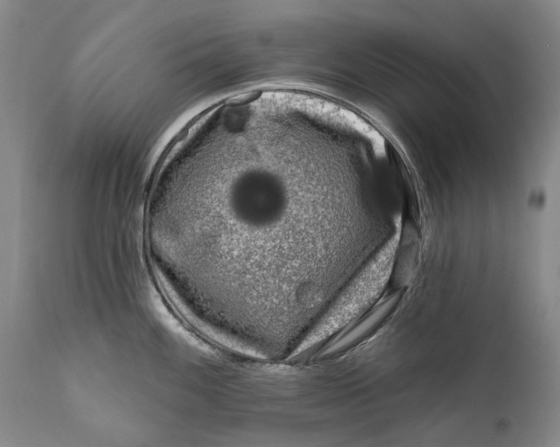 X0000111671100200908071451