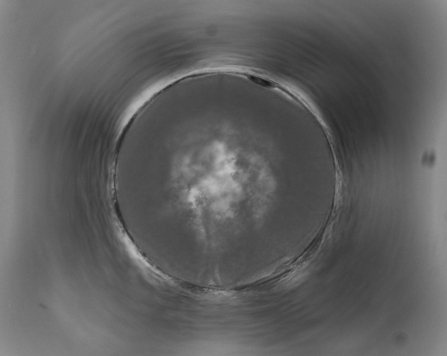 X0000111671101200908071451