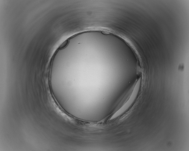 X0000111671102200908071451