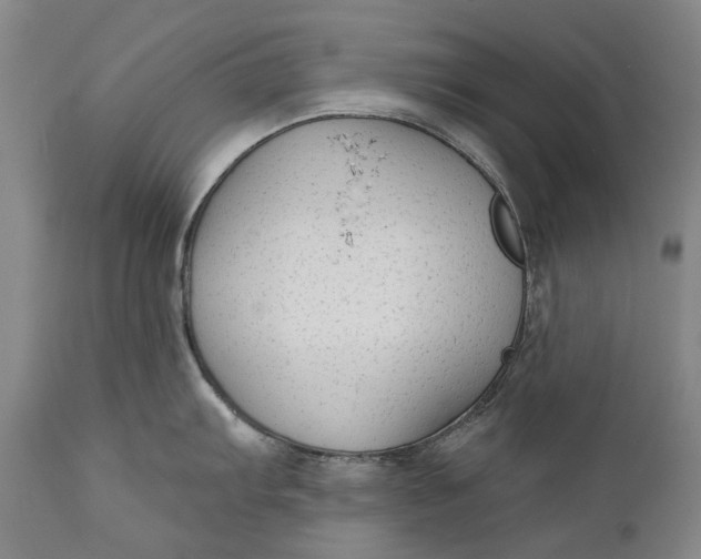 X0000111671103200908071451