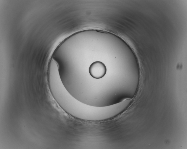 X0000111671104200908071451