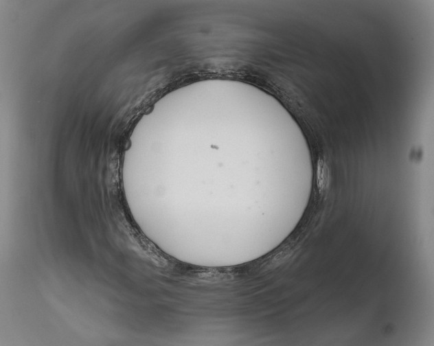 X0000111671107200908071451