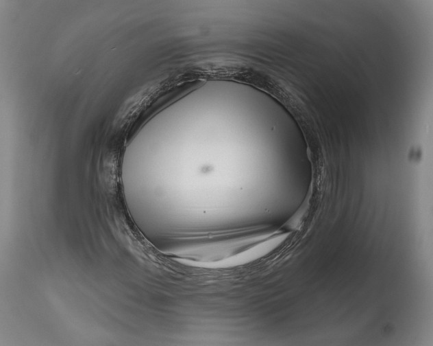 X0000111671108200908071451